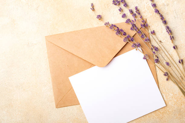 istock Blank paper with Kraft envelope and lavender flowers on a light background. Clean postcard for your signatures 1172014915