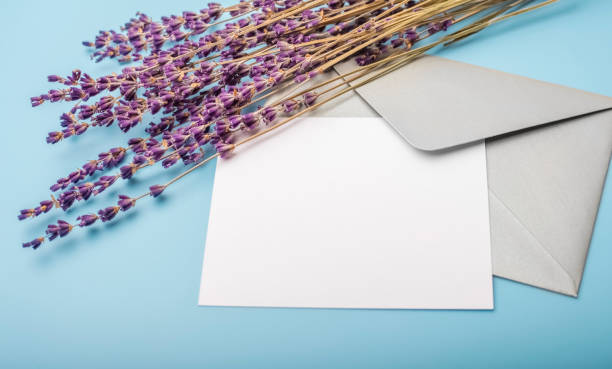 istock Lavender flowers and blank paper with an envelope on a blue background 1172015146
