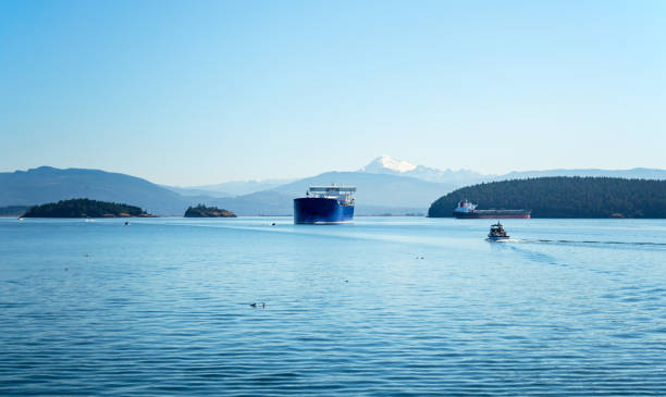 istock Container ships in Padilla Bay with Mt Baker in the background 1172015281