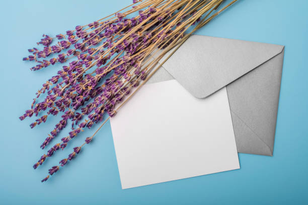 istock Lavender flowers and blank paper with an envelope on a blue background. View from above 1172015318