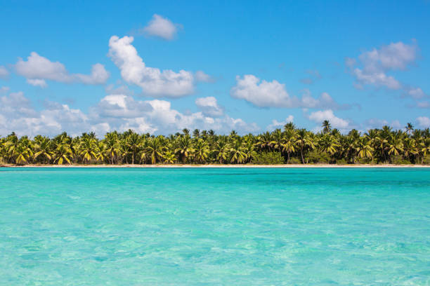 istock Wild tropical beach with white sand and coconut trees. 1172016028