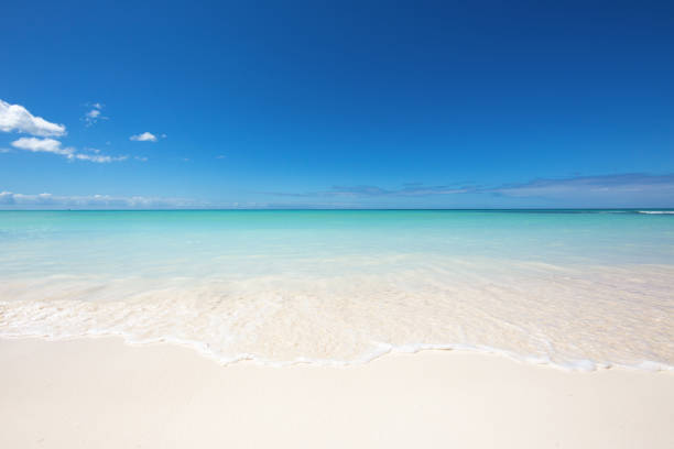 istock The edge of the wave on the white sand. 1172016058