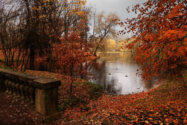 istock Autumn park in September, path with red leaves. 1172016619