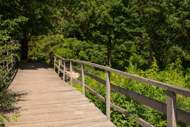 istock Footbridge in the park 1172017225