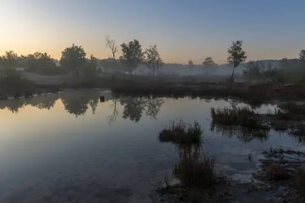 Photo of Brunsummerheide a national park in South Limburg ith morning fog over the swamp during sunrise