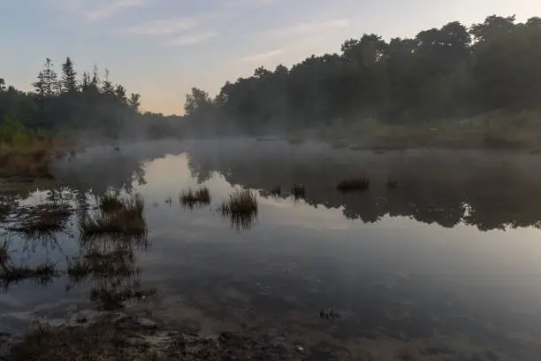 Photo of Brunsummerheide a national park in South Limburg ith morning fog over the swamp during sunrise