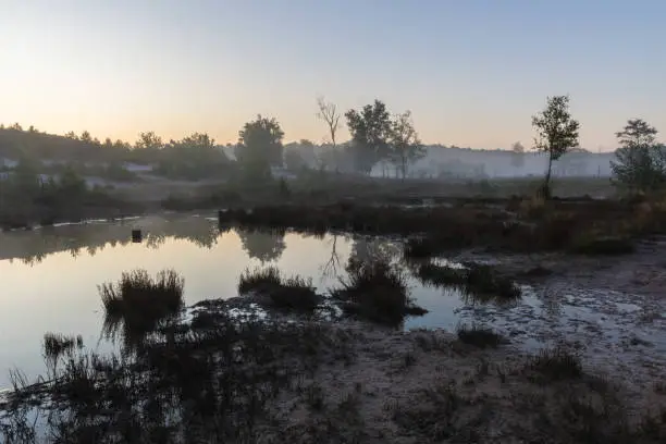 Photo of Brunsummerheide a national park in South Limburg ith morning fog over the swamp during sunrise