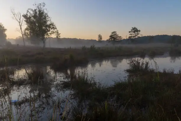 Photo of Brunsummerheide a national park in South Limburg ith morning fog over the swamp during sunrise