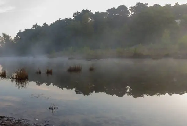 Photo of Brunsummerheide a national park in South Limburg ith morning fog over the swamp during sunrise