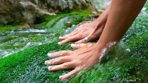 Tanned female hands stroke green moss growing in the clear and transparent water of a mountain river.