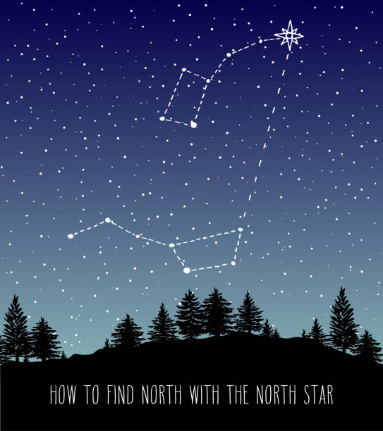 How to find North constellations Finding North star Polaris. Night forest skyline with Ursa Major and Ursa Minor constellations (Little Dipper and Big Dipper). Space and astronomical design vector illustration. north star stock illustrations