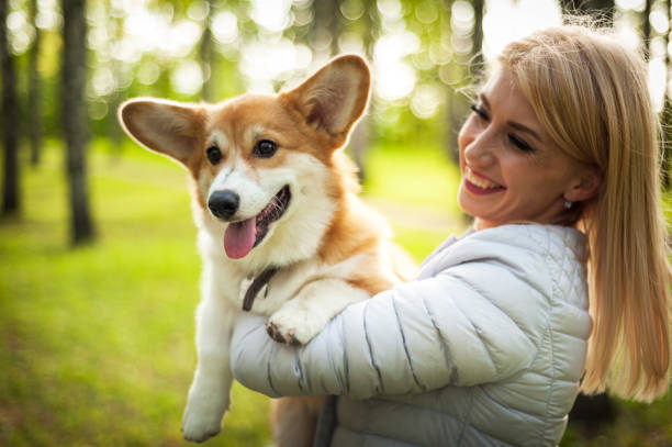 A young woman walks her dog in a summer Park stock photo