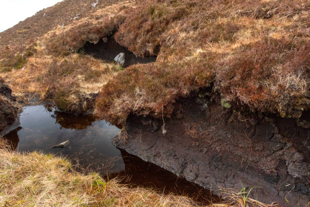istock Ireland, Connemara, 2016 Diamond Hill walking trails 1172022848