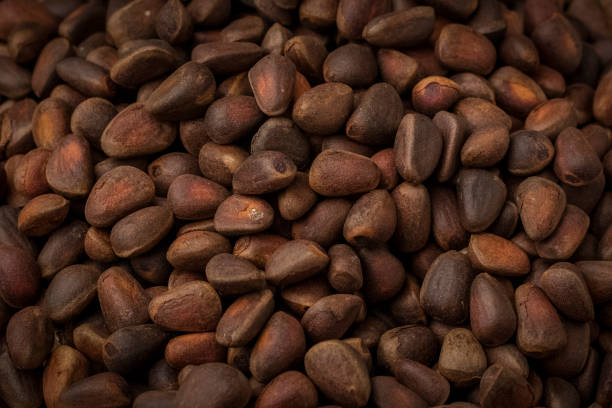 istock inshell pine nuts on a wooden background 1172024345