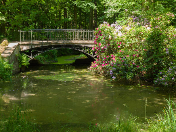 istock View of a small bridge over the river in the park during a spring day 1172025259
