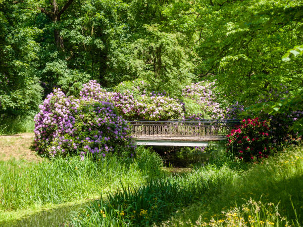 Park at the palace in Moszna