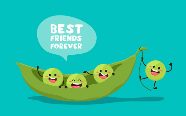 Green young peas with the slogan Best friends forever. Vector illustration in cartoon style. . Cheerful peas. Green young peas with the slogan Best friends forever. Vector illustration in cartoon style. . Cheerful peas. green pea stock illustrations