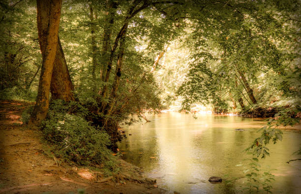 istock Mountain River - Slow moving river on summer day - muted colors 1172040930