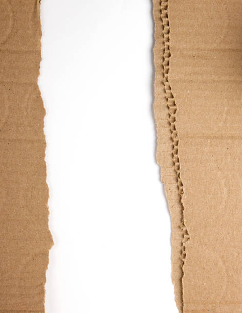 istock brown paper from the box, torn edge on a white background 1172046783