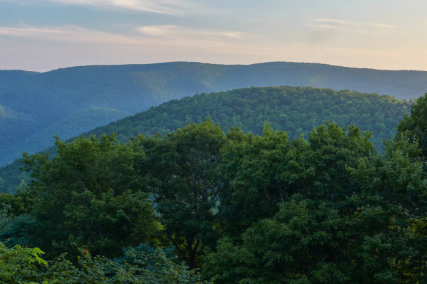 istock St. Mary's Wilderness, Virginia 1172048992