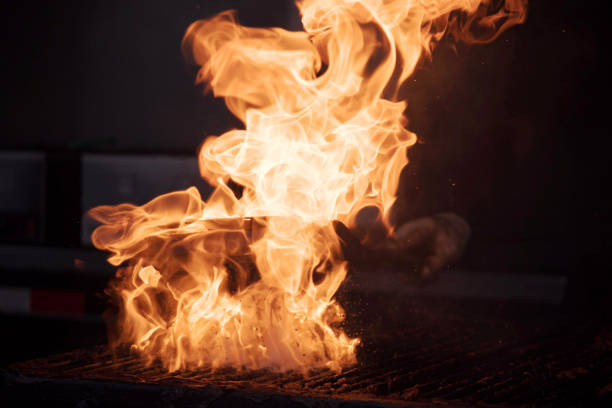 istock Barbecue pork ribs on Grill 1172064760