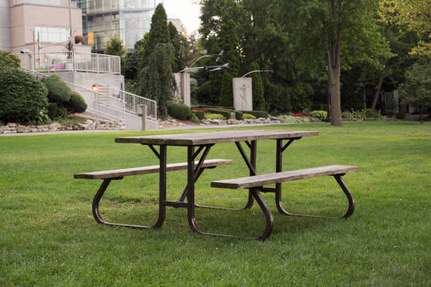 istock Park Setting Windsor and Detroit River Ontario Canada 1172064950