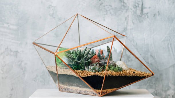 istock diy florarium natural gift delivery succulent 1172072624