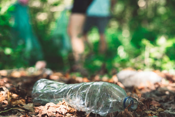 istock Plastic bottle laying on the ground in the forest 1172072943