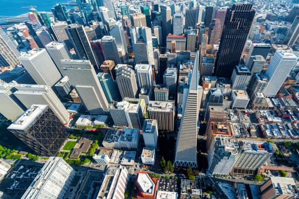 istock Downtown San Francisco aerial view 1172073131
