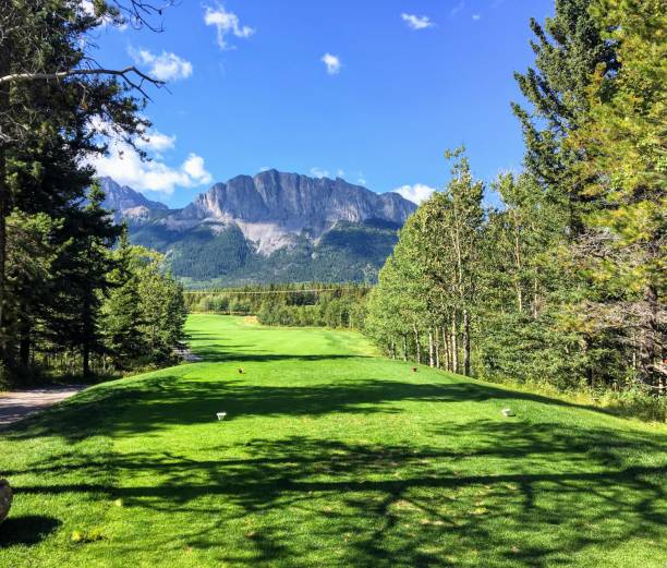 una vista desde la caja de camisetas mirando hacia abajo una dura par 4 líneas con árboles y las montañas rocosas en el fondo.  es un hermoso día soleado jugando al golf en kananaskis. - sport tee day tee box fotografías e imágenes de stock