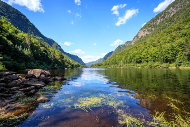 istock Jacques Cartier Nature Landscape National Park, Quebec, Canada 1172076055