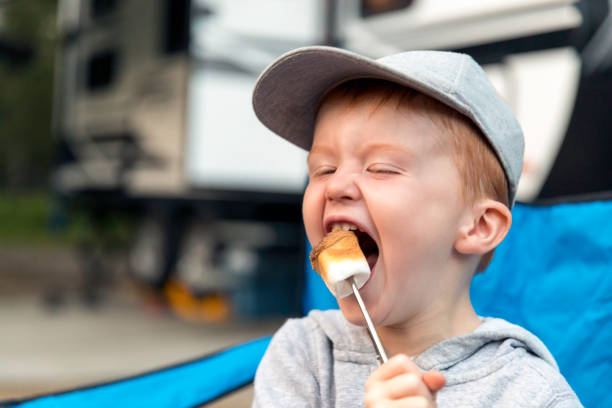 istock Little Redhead Boy Eating Marshmallow in Camping in Summer 1172076334