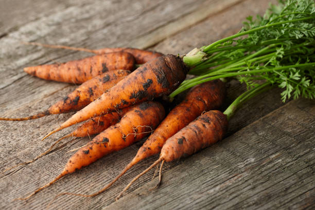 istock Fresh carrots with greens on old wooden planks 1172077567