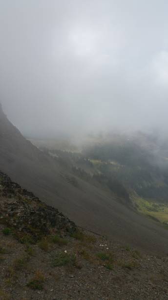 istock Foggy look out from obstruction point 1172080801