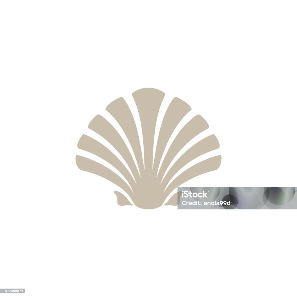 Shell / Oyster / Tarak tasarım ilham - Royalty-free Seashell Vector Art