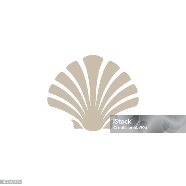 Shell Oyster Tarak Tasarım Ilham Stok Vektör Sanatı & Seashell‘nin Daha Fazla Görseli - Seashell, Vektör, Tarak