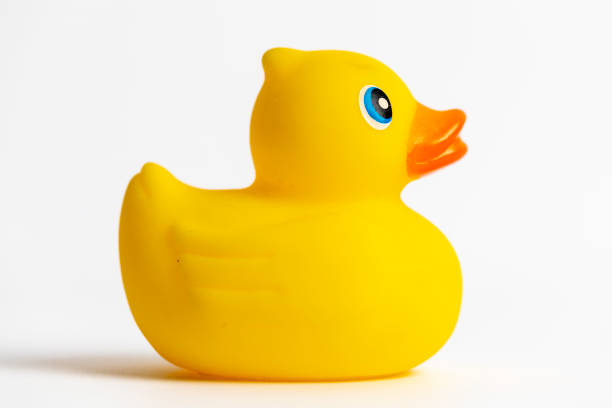 istock Yellow Rubber Duck 1172083404