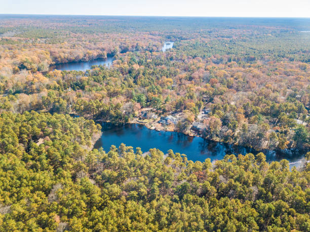 istock Aerial photo of colored fall forest 1172085164