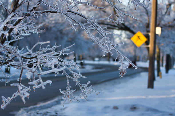 2013年のトロントの氷嵐の後に撮影された写真の前景に凍結された枝。 - road street sign slippery ストックフォトと画像