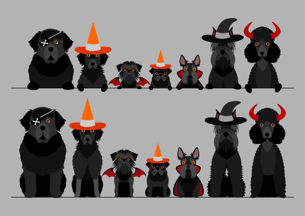 ilustraciones, imágenes clip art, dibujos animados e iconos de stock de negro perro de halloween en una fila - halloween witch frame wizard