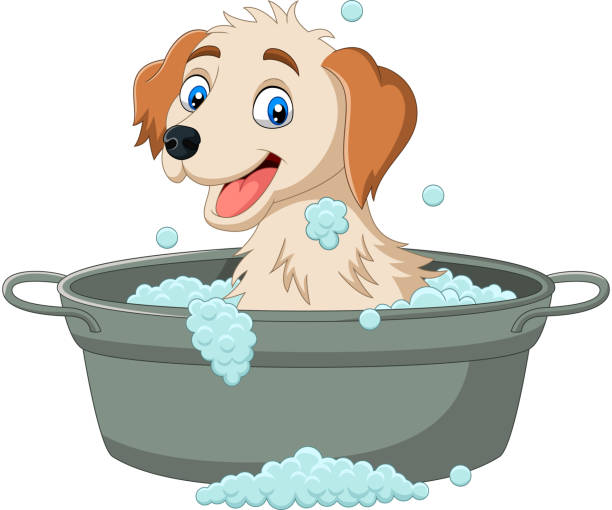 ilustraciones, imágenes clip art, dibujos animados e iconos de stock de perro de dibujos animados teniendo un baño - washtub