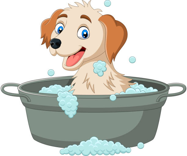 мультфильм собака с ванной - washtub stock illustrations