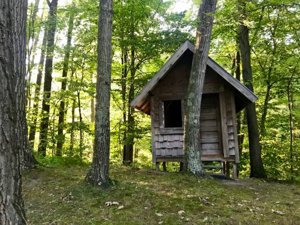 istock Small house in the woods 1172091942