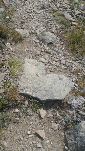 istock Nature loves you 1172099526