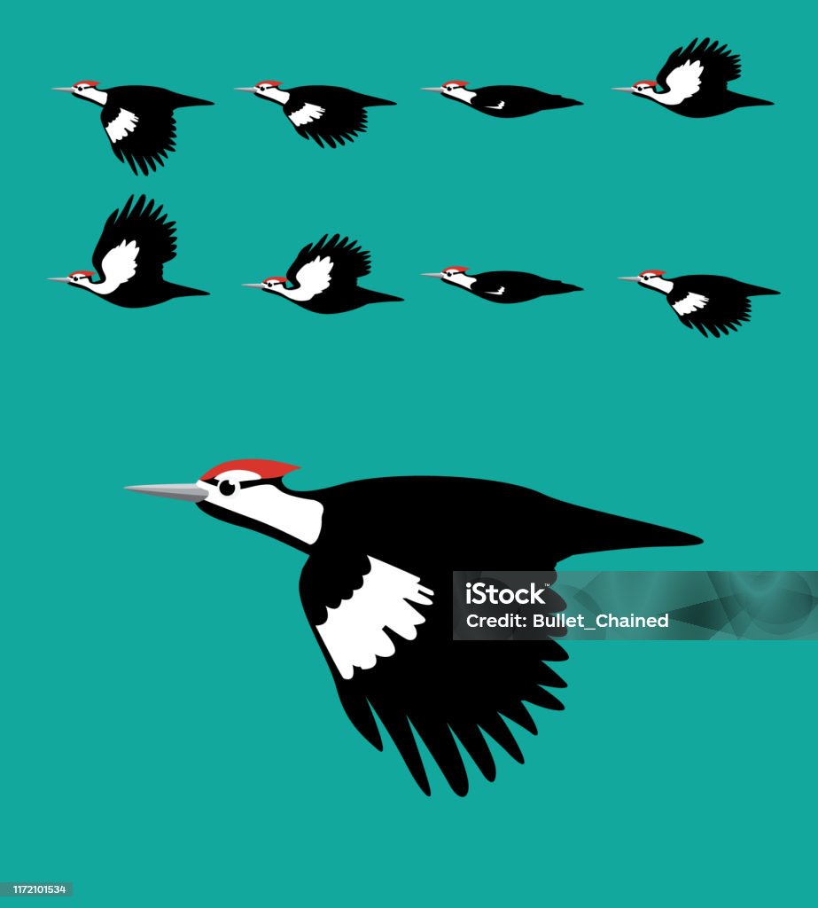 Ptak Rysunkowy Dzięcioł Latający Cartoon Vector Animation Frame - Stockowe grafiki ...