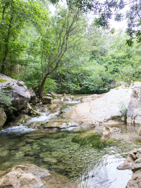 istock Throat of the Muga river 1172102155