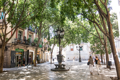 BARCELONA - JUNE 20, 2019: Image of the tree-lined Sant Agusti Vell square, in the center of Barcelona, in the Gothic and Borne neighborhood. Ciutat Vella of Barcelona, Spain