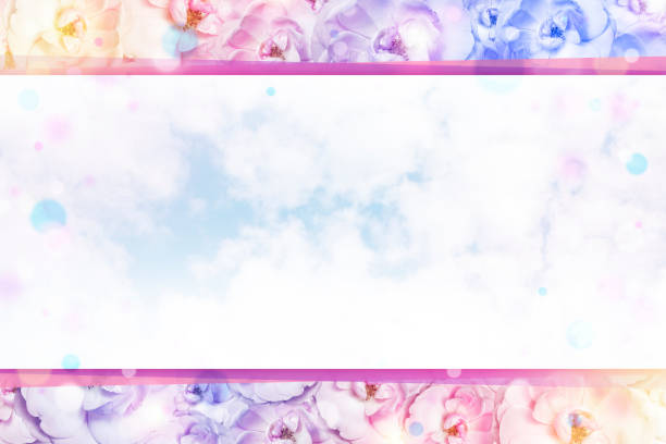 Festive background of peonies with a frame under the text. Top view, flat lay. Copy space Birthday, mother, valentine, woman, wedding day concept