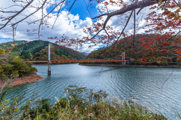 istock Wonderful autumn leaves 1172106908