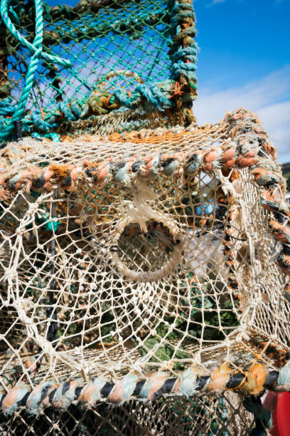 istock Lobster cages on Isle of Skye 1172107015